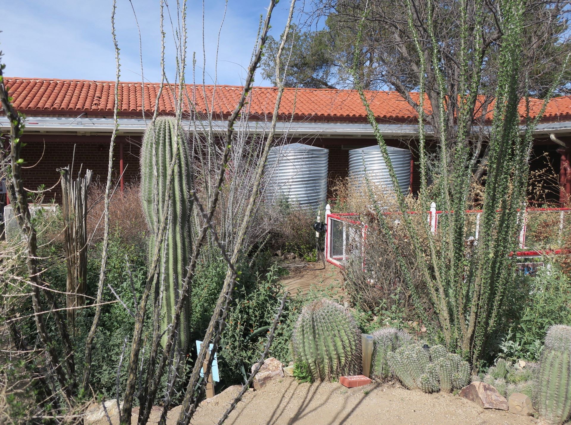 view of home with rooftop rainwater harvesting directed to cistern storage and basins planted with cactus and native plants 